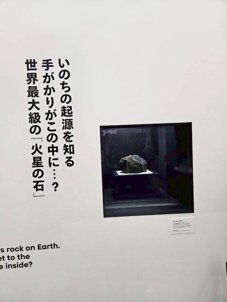 火星の石